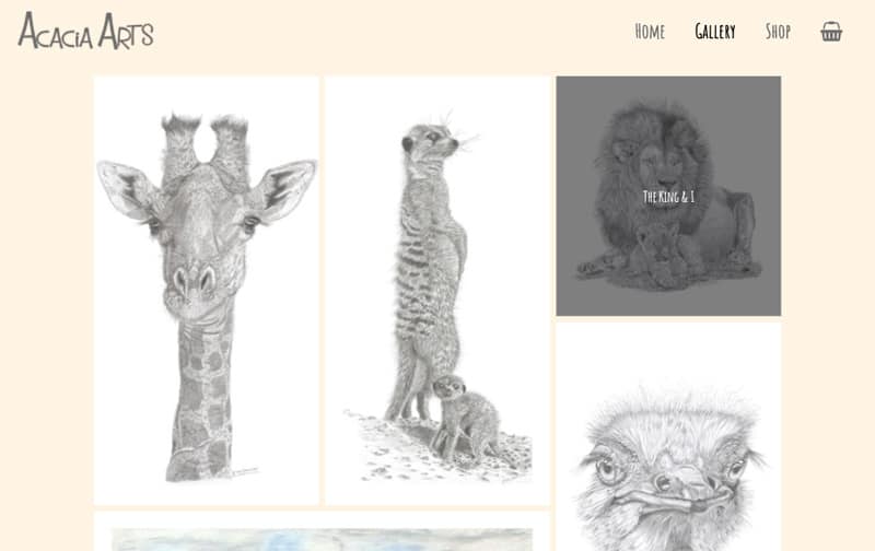 Acacia-Gallery new art website
